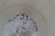 SDC10103.JPG coolent rust.jpg