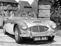 Austin-Healey 100-6 grille.jpg Austin-Healey 100-6 grille.jpg