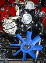 P1010723 crop resize.jpg