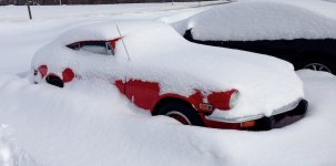 gt6.jpg