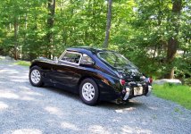 bugeye 8613 7.jpg