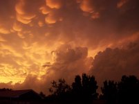 100_0423.jpg