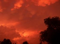 100_0424.jpg