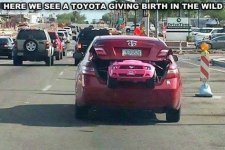 toyota birth.jpg