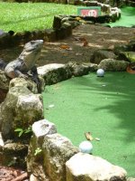 P1000776_web.jpg P1000776_web.jpg