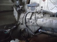 Land-Crab 026.jpg Land-Crab 026.jpg