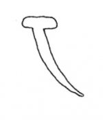 Lower Seal 1.jpg