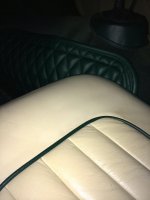 IMG_3526.jpg