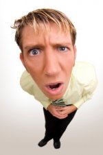 Say What-.jpg Say What-.jpg