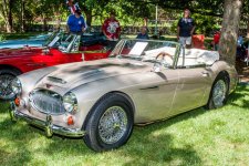 Healey_Cooper-Autos in the Park 2014.jpg