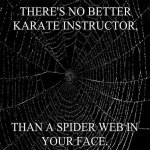spider1.jpg