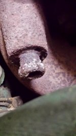 20140929_203845.jpg
