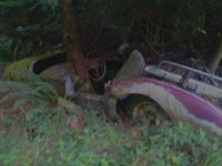 mms95pictur.jpg mms95pictur.jpg