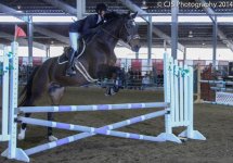 Hunter_Jumper_2014-1-4.jpg