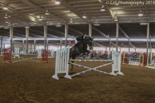 Hunter_Jumper_2014-1-5.jpg