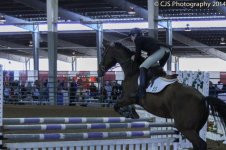 Hunter_Jumper_2014-1.jpg