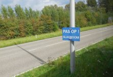 Dscn2515.jpg
