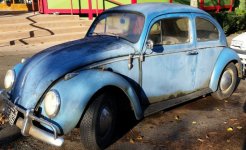 62 bug on 22nd- small.jpg