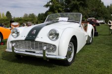 IMG_2909 (Large).jpg