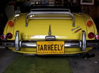 New license plate.jpg