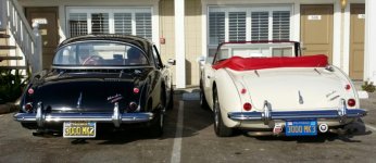 License Plates.jpg