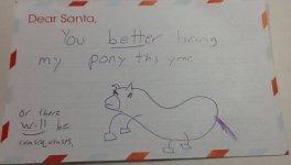 pony for NK.jpg