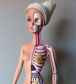 cut-away-Barbie.jpg