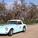 16420186479_82eec73142_s.jpg