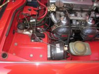 IMG_1239.jpg IMG_1239.jpg