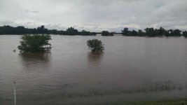 IMG_20150524_140640669.jpg IMG_20150524_140640669.jpg