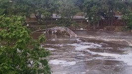 IMG_20150524_174353084.jpg IMG_20150524_174353084.jpg