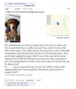 craigs_list_ad.jpg