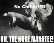 hugemanatee_original.jpg