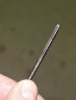 Trans_end (Medium).jpg