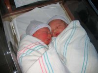 298375-IMG_0016Resized.jpg