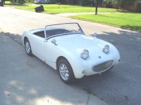 3689-frontbug.jpg