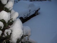 3752-TrSnow06.JPG