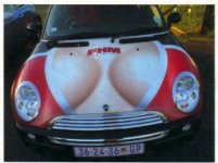4144-minibra.jpg