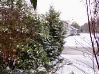 4288-snow1.JPG