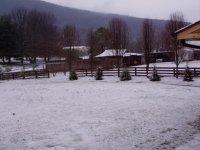 4289-snow2.JPG