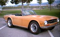 4433-saffronyellowTR6.jpg