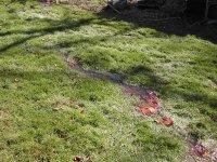 4548-Soggy-B.jpg