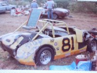 4631-BUGWRECK.JPG