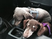 Zs in the Sprite.jpg