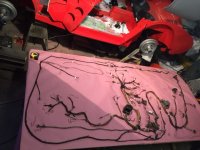 healey harness.jpg