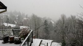 2015-12-27 14.52.36.jpg