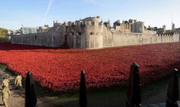 poppies-Tower-217184.jpg poppies-Tower-217184.jpg