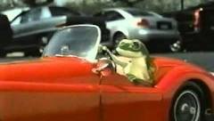 image.jpeg image.jpeg