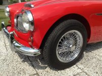 Austin_Healey_011x.jpg