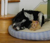 Max & Ms. Chippy.jpg Max & Ms. Chippy.jpg